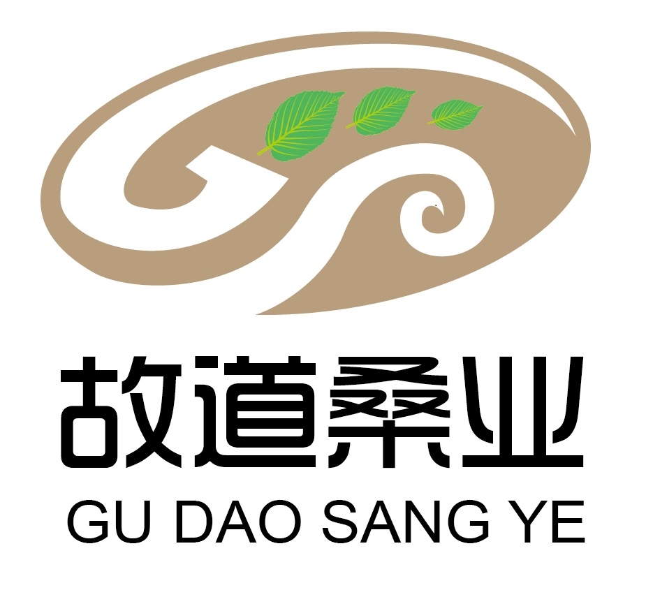 喝茶就可以防脫生發(fā)，太神奇了！桑葉養(yǎng)生茶