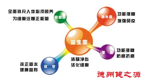 腸胃功能差，益生菌就可以解決一切