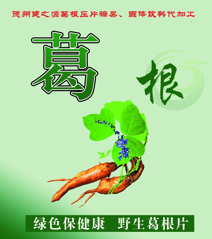 葛根，男女通用的人體調(diào)理專家