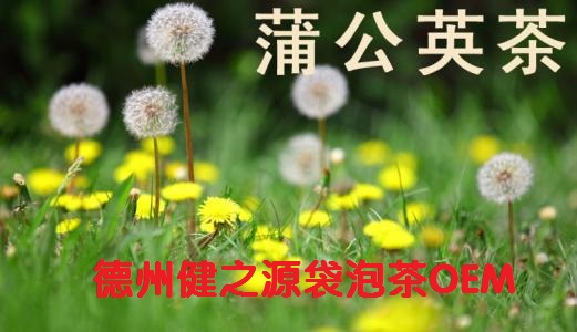 蒲公英茶，今天您喝了嗎？