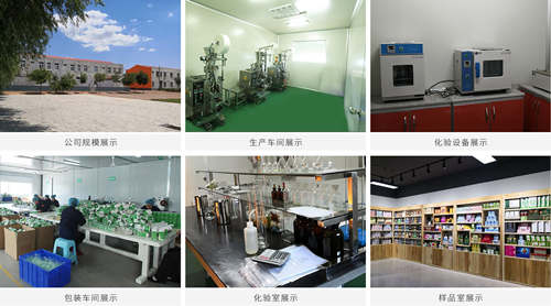袋泡茶工廠(chǎng)的實(shí)景圖-德州健之源
